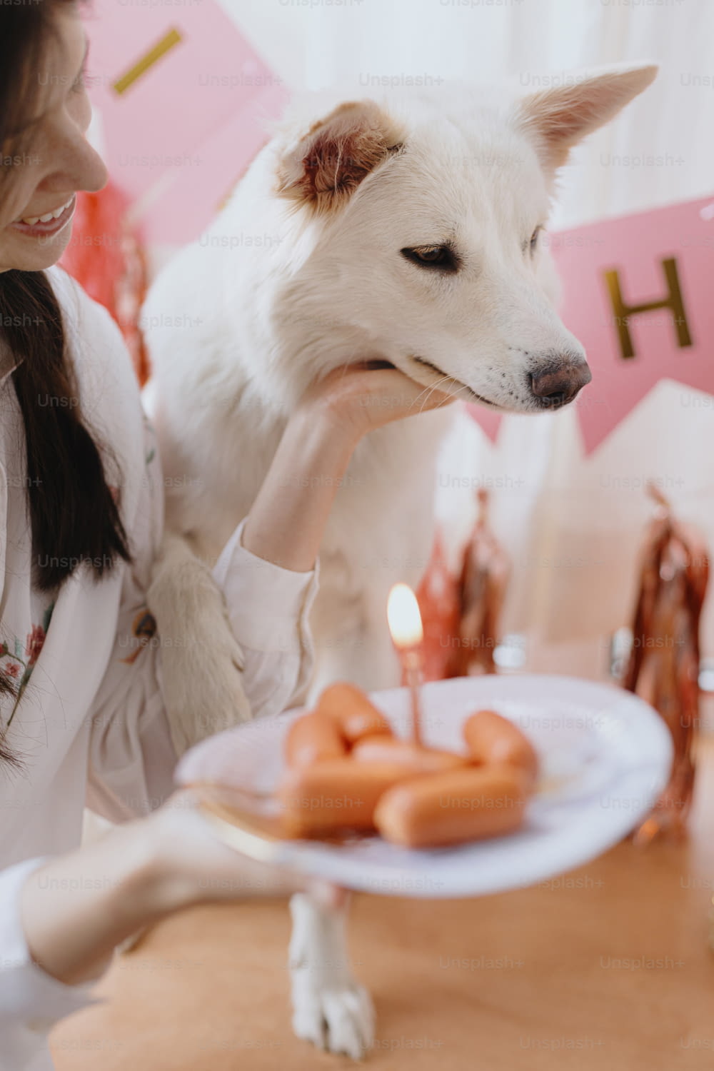 Mujer joven feliz que celebra el cumpleaños del perro con pastel de salchicha y vela sobre fondo de guirnalda rosa y decoraciones. Fiesta de cumpleaños de perros. Adorable primer cumpleaños del perro pastor suizo blanco