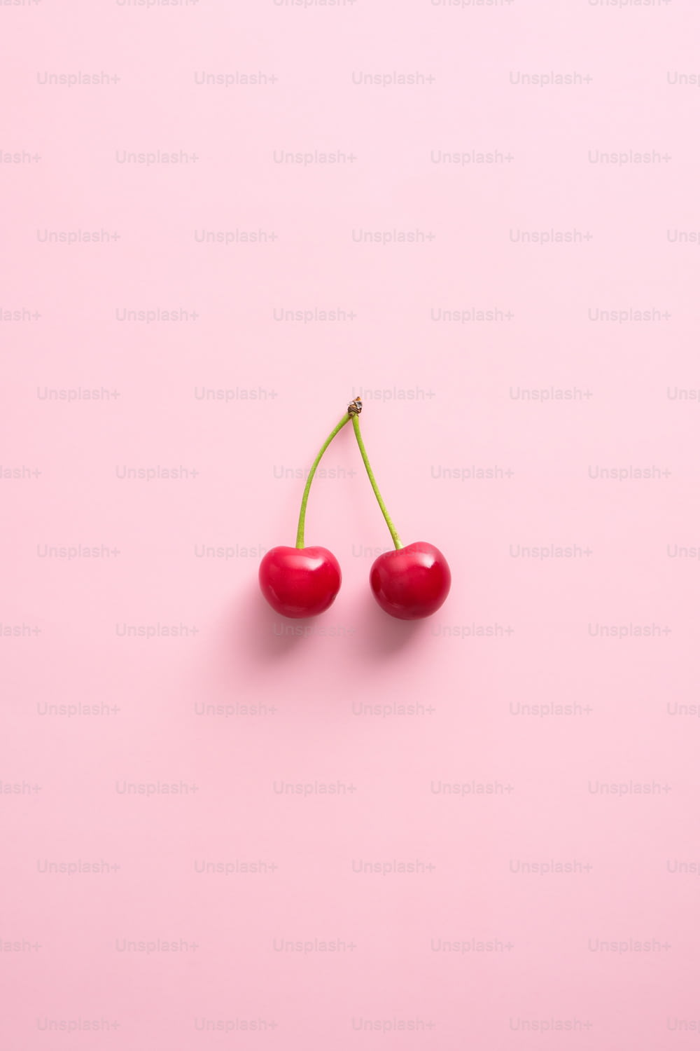 Double cherry berries on pink background. Flat lay, top view.