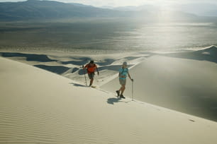 a couple of people riding skis across a desert