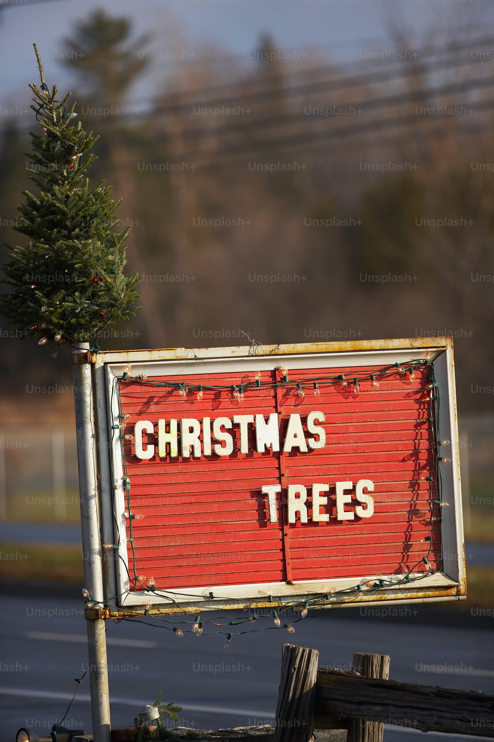 a sign that says christmas trees on it