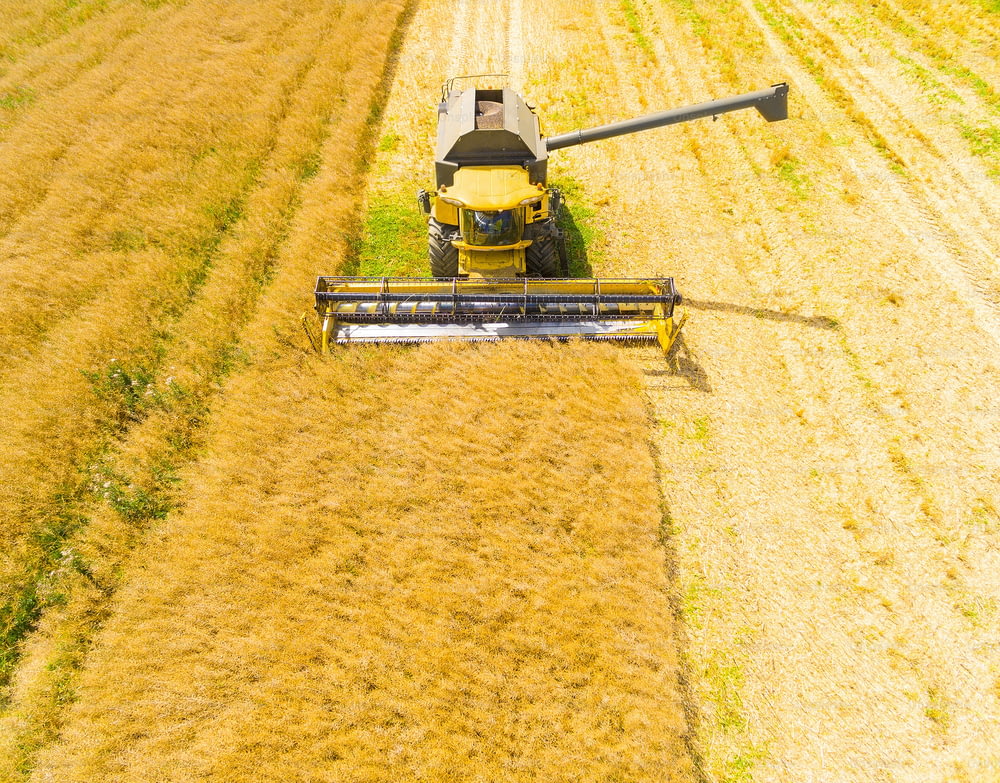 Aerial view of combine harvester. Harvest of wheat field. Industrial footage on agricultural theme. Biofuel production from above. Agriculture and environment in European Union.