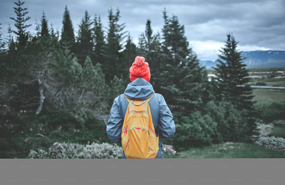 vista posteriore di giovane donna escursionista che fa escursioni in bellissime montagne. escursionista femminile in abiti impermeabili, cappello rosso e con piccolo packpack arancione sullo sfondo dei pini verdi