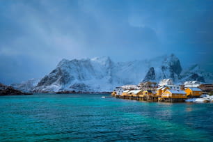 겨울에 눈이 내리는 사크리소이 어촌의 노란색 로르부 주택. 로포텐 섬, 노르웨이