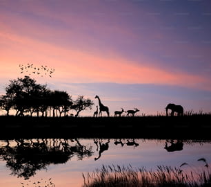 Imagen conceptual de la silueta de los animales salvajes contra el cielo vibrante de la puesta del sol para el safari de África
