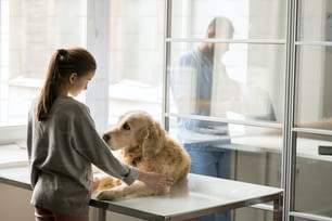 医療台に置かれた悲しげな犬と、動物病院で手術前に見つめ合うカジュアルウェア姿の小さな女の子