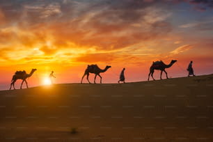 인도 낙타 (낙타 운전사) 베두인족은 일몰에 타르 사막의 모래 언덕에서 낙타 실루엣을 가지고 있습니다. 라자스탄 여행 관광 배경 사파리 모험의 캐러밴. 자이살메르, 라자스탄, 인도