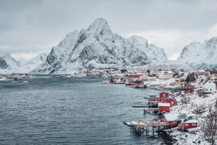 Reine fishing village on Lofoten islands with red rorbu houses in winter with snow. Norway