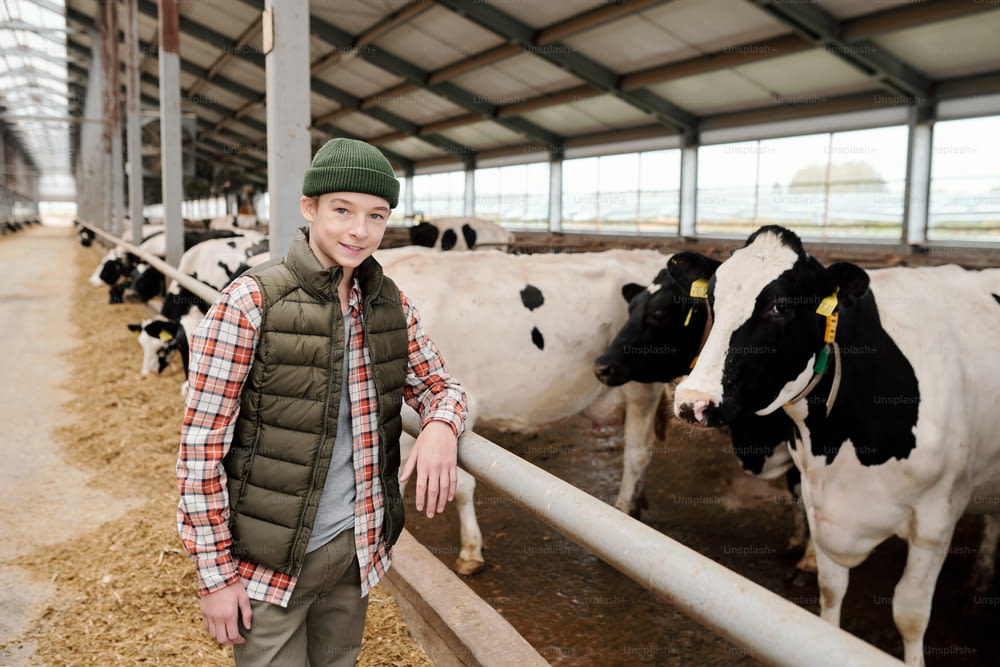 Smiling teenage boy in casualwear looking at you while standing by large paddock with herd of milk cows and taking care of livestock
