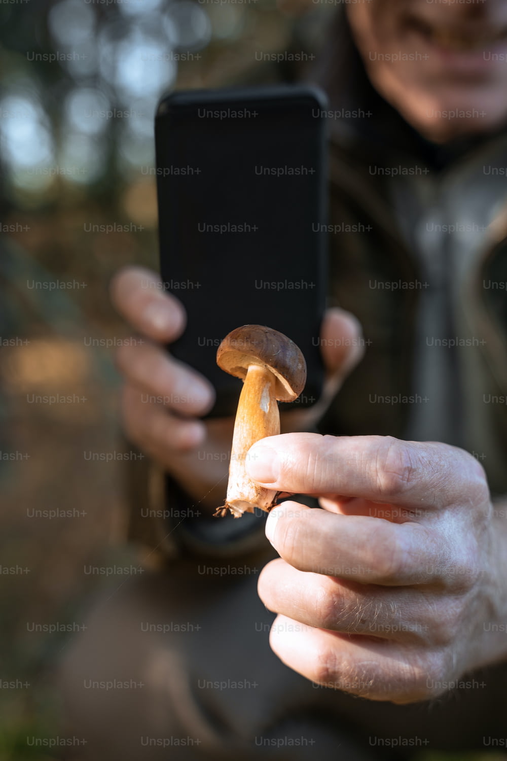 Vertical shot of the caucasian retirement man holding mushroom and shooting it at his smartphone. People at the nature concept