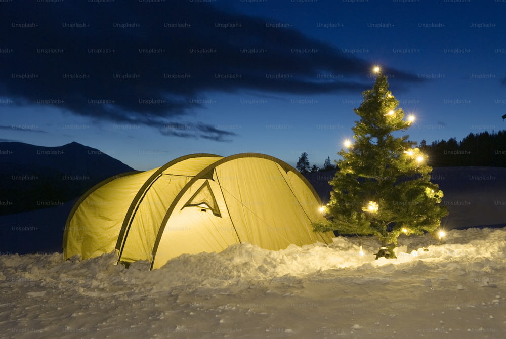 Uma tenda na neve ao lado de uma árvore de Natal