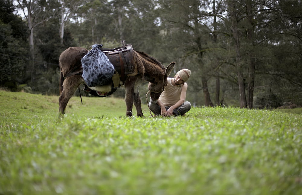 a woman kneeling down next to a horse