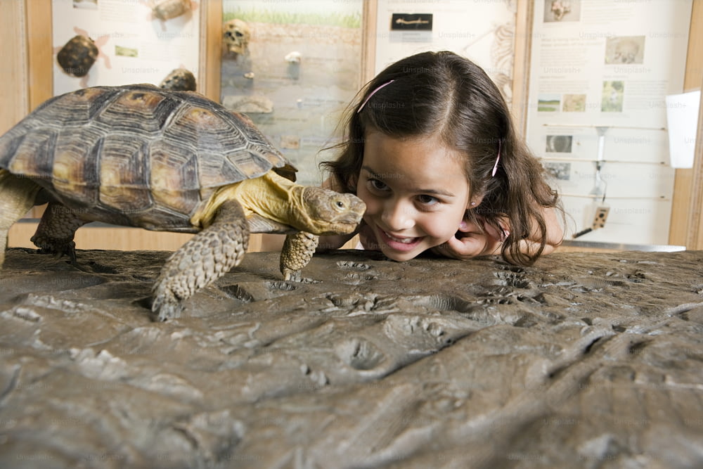 어린 소녀가 거북이와 놀고 있다