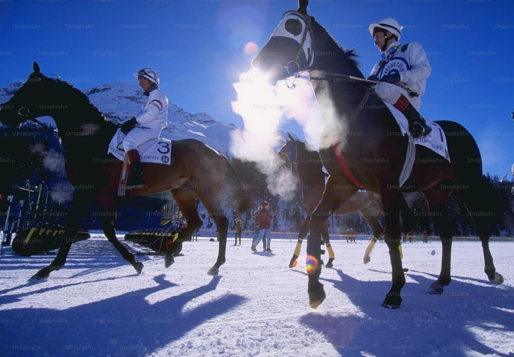 3 de fevereiro de 1997: Corridas de cavalos na neve em St. Moritz, na Suíça.