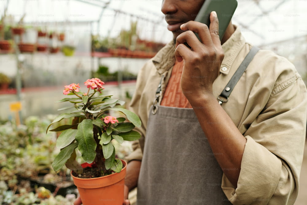 Close-up of worker in uniform carrying flower in pot for customer and talking on mobile phone while working in flower shop