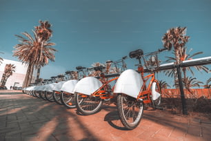 Une longue rangée de vélos rouges garés sur la rue de Barcelone entourée de palmiers; Vue grand angle des vélos branchés sur leur place de parking et s’étirant au loin par une journée ensoleillée