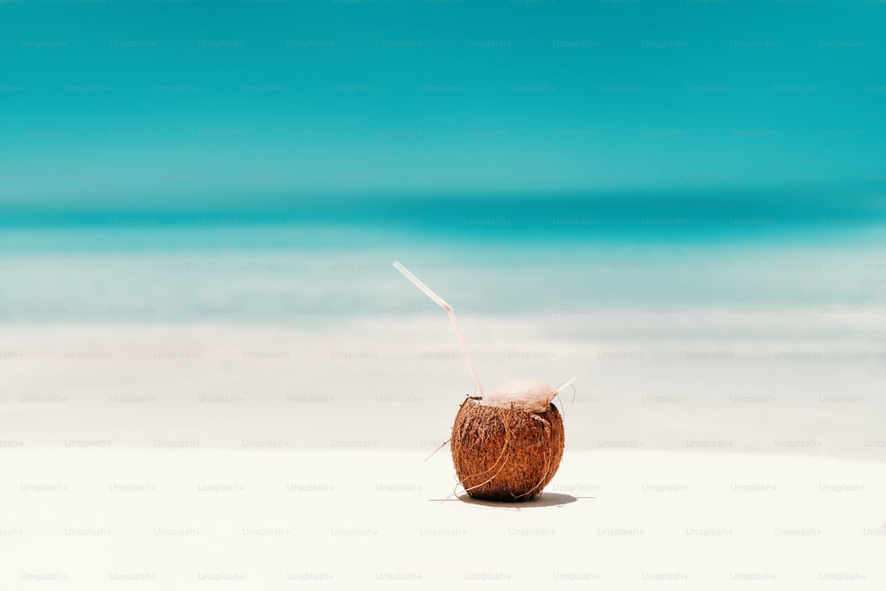 Photo d’un cocktail en noix de coco sur la plage. En arrière-plan de l’océan.