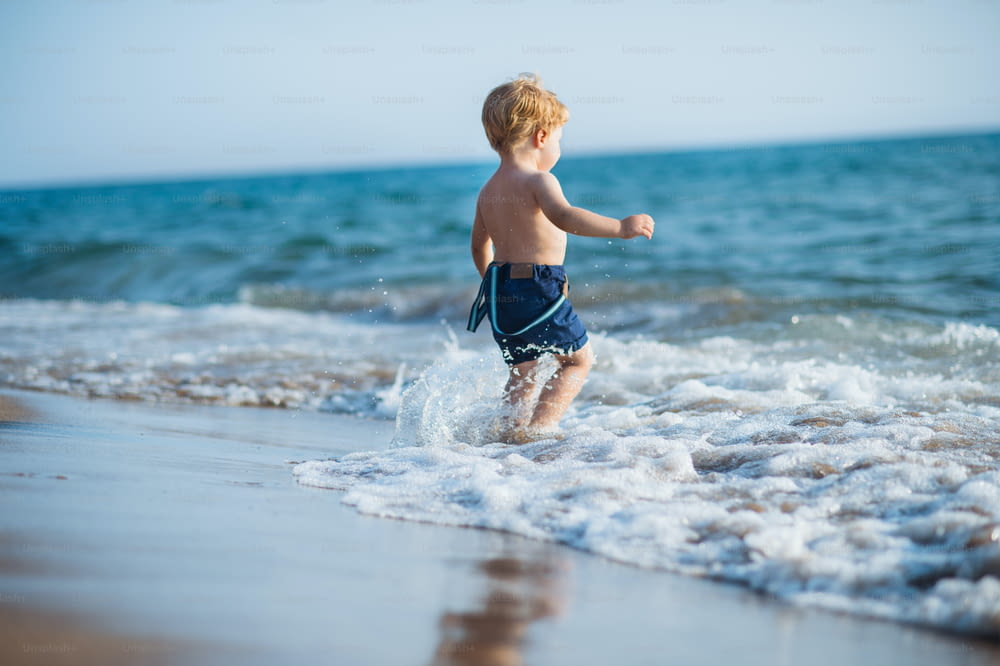 A cute small toddler boy with shorts walking in water on beach on summer holiday.