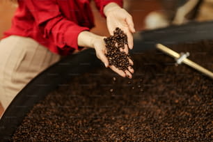 Gros plan de mains tenant des grains de café à côté d’une machine à torréfier le café.