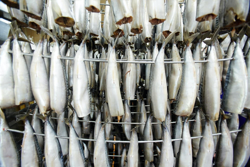 Rohe Makrelen, die vor der Rauchverarbeitung in der Fischfabrik an Drähten hängen