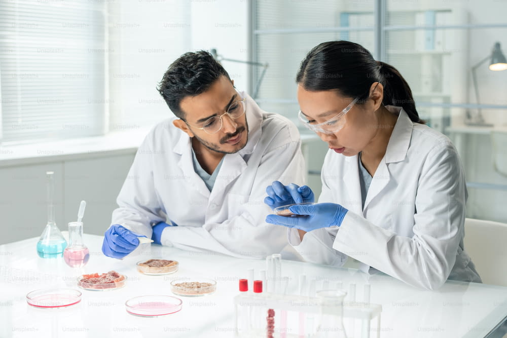 Two young intercultural researchers or clinicians in whitecoats and gloves scrutinizing one of samples of raw vegetable meat in laboratory