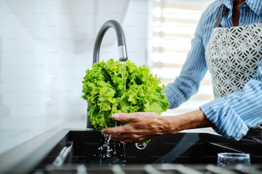 Close up of caucasian senior woman in apron standing in kitchen and washing green salad in kitchen sink.