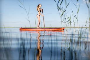 Donna paddleboarding sul lago con canne e acqua calma durante la luce del mattino