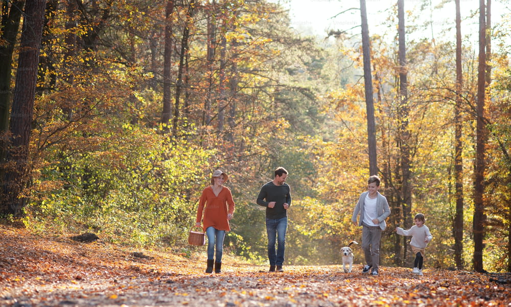 秋の森を散歩する小さな子供と犬を連れた若い家族の正面図。
