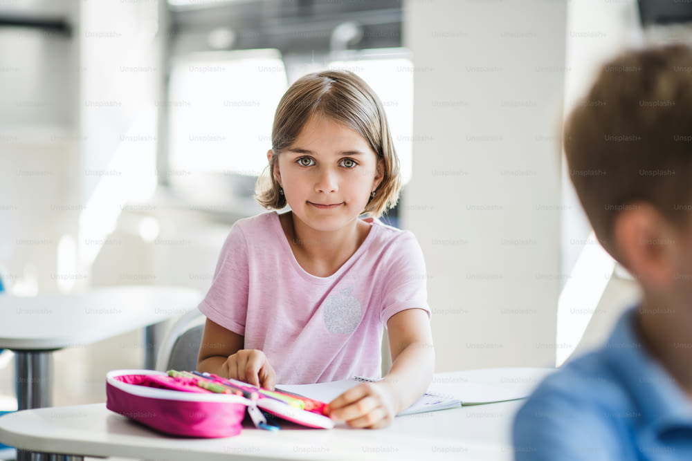A portrait of small happy school girl sitting at the desk in classroom, looking at camera.