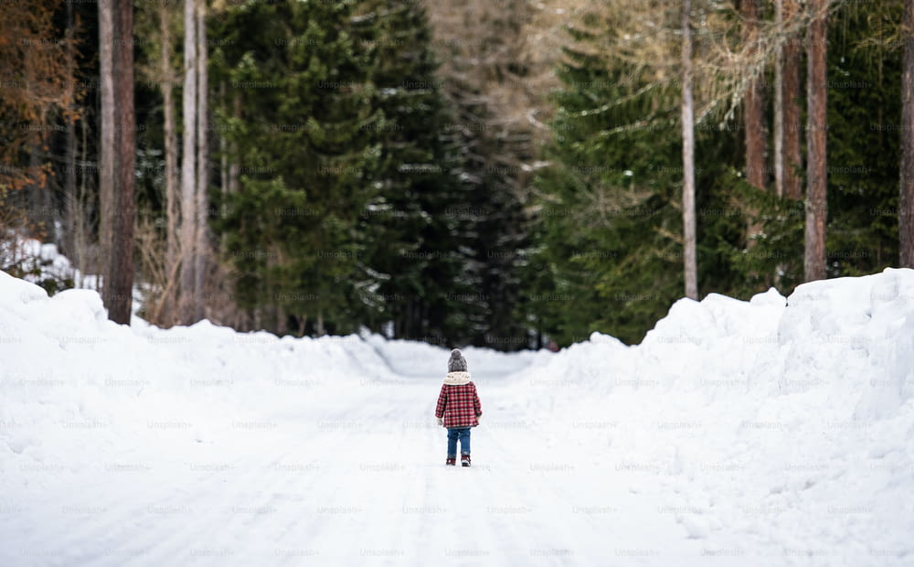 冬の自然の中で道路を歩く小さな女の子の後ろ姿。スペースをコピーします。