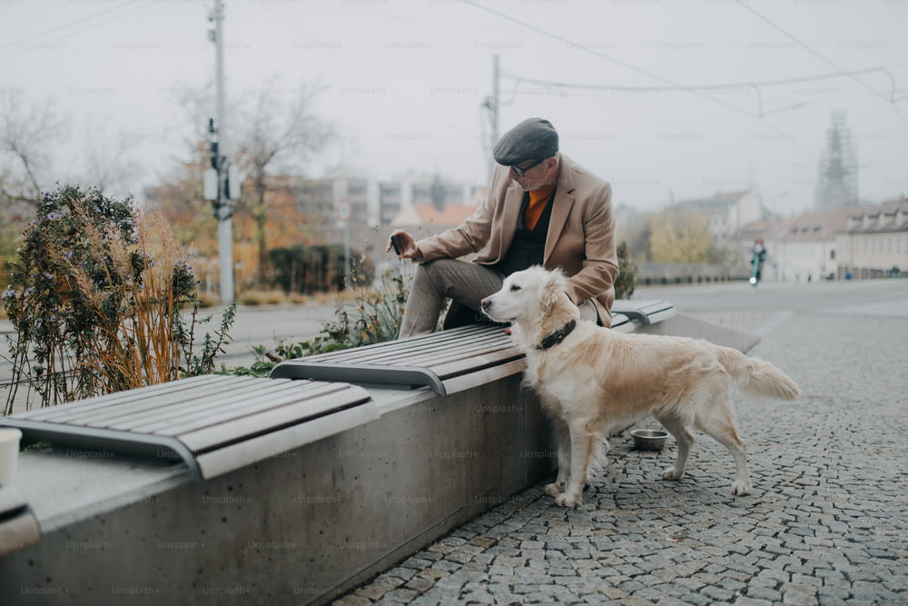 ベンチに座り、街の屋外で犬と自撮りをしている幸せな年配の男性。
