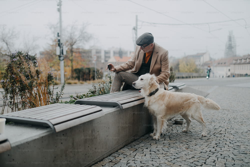 Un anciano feliz sentado en un banco y tomándose una selfie con su perro al aire libre en la ciudad.