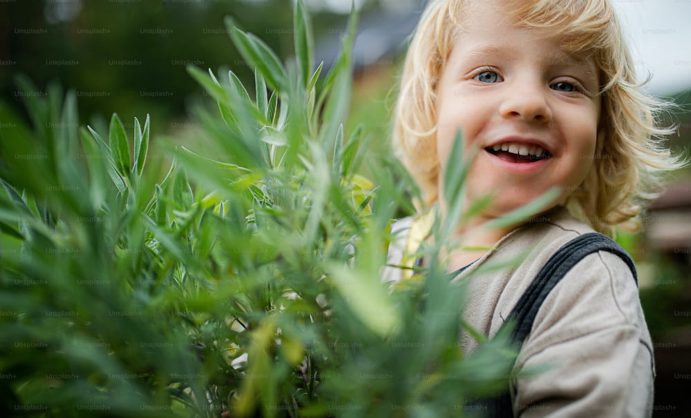 Ritratto ravvicinato di un ragazzino in piedi all'aperto in giardino, concetto di stile di vita sostenibile.