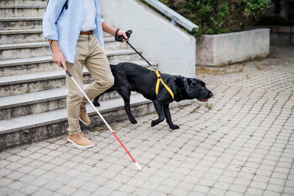 Un homme aveugle âgé avec un chien-guide descendant les escaliers dans la ville, au milieu.