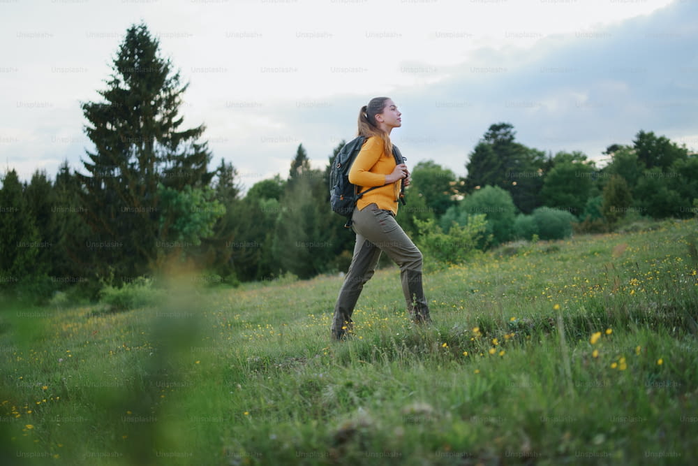 Side view of young woman on a walk outdoors on meadow in summer nature, walking.