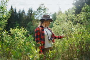 Vista frontal da mulher jovem com câmera em uma caminhada na floresta na natureza do verão.