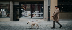 Una vista lateral de un elegante anciano con café para llevar paseando a su perro al aire libre en la ciudad en invierno.