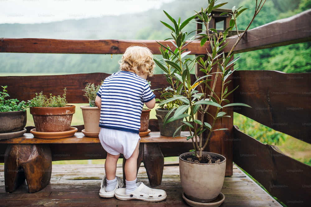 Una vista trasera de un niño pequeño parado al aire libre en una terraza en verano.