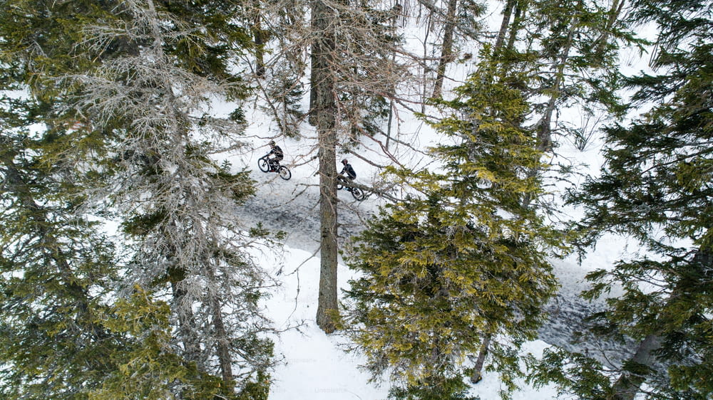 Aerial view of two mountain bikers riding on road covered by snow in forest outdoors in winter.