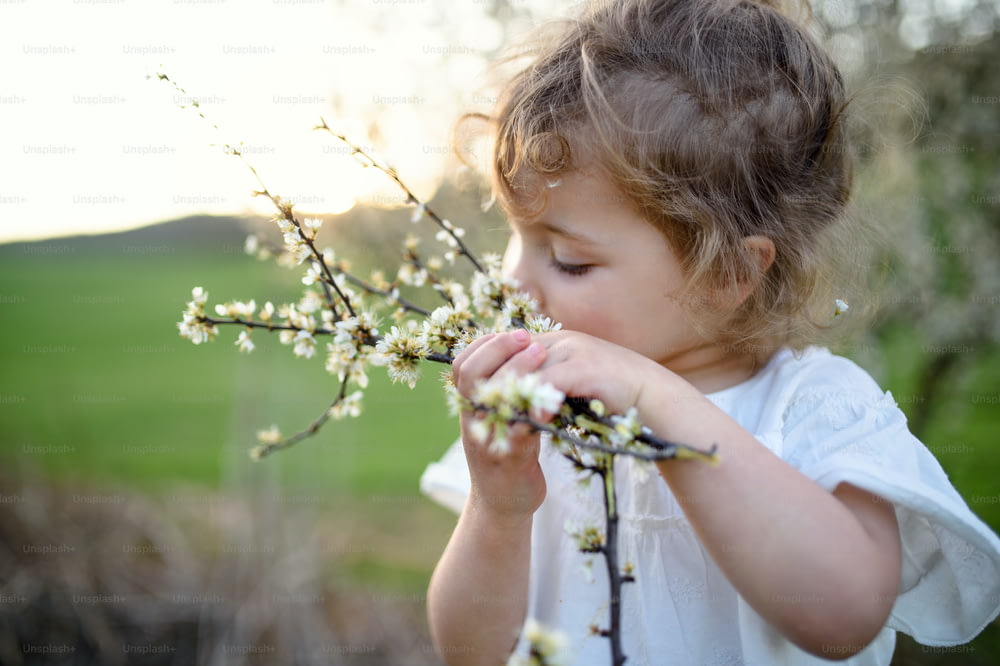 여름에 야외 초원에 서서 꽃 냄새를 맡는 작은 유아 소녀의 초상화.