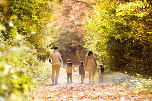 숲에서 산책하는 아름다운 젊은 가족. 어머니와 아버지는 화려한 가을 자연 속에서 따뜻한 옷을 입은 세 아들과 함께 있습니다. 후면도.