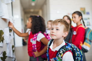 Un grupo de alegres niños de escuela pequeña en el pasillo, de pie y hablando. Concepto de vuelta al cole.