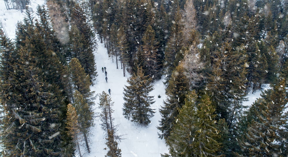 Aerial view of mountain bikers riding on road covered by snow in forest outdoors in winter.