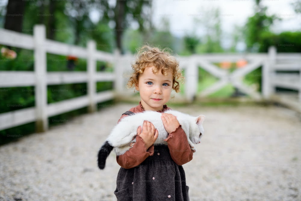 Portrait of small girl with cat standing on farm, looking at camera.
