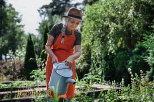 A senior female farmer watering vegetable plants outdoors at farm.