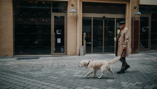 겨울에 도시에서 야외에서 개를 산책시키는 커피를 가져가는 우아한 노인의 측면보기.