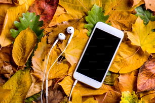 Composizione autunnale. Primo piano di foglie colorate di quercia, acero, betulla e faggio e smartphone bianco con auricolari. Scatto in studio, flat lay.