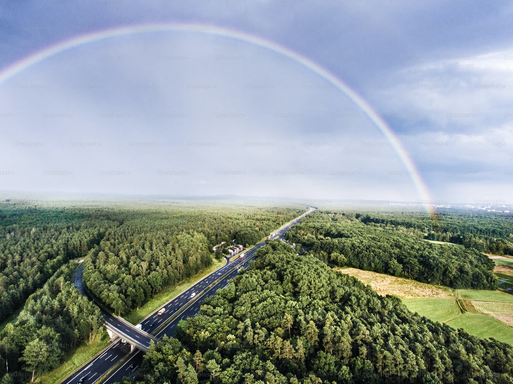 Vista aérea da rodovia cheia de carros e caminhões no meio da floresta verde, arco-íris colorido, cidade. Países Baixos