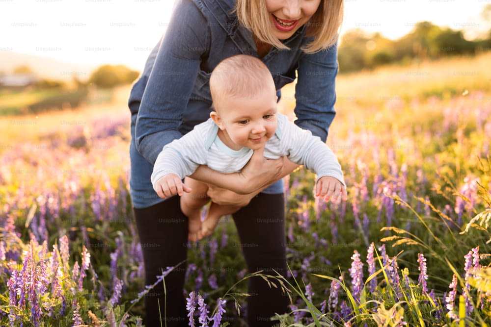 Unrecognizable young mother holding her little baby son in the arms outdoors in nature in lavender field.