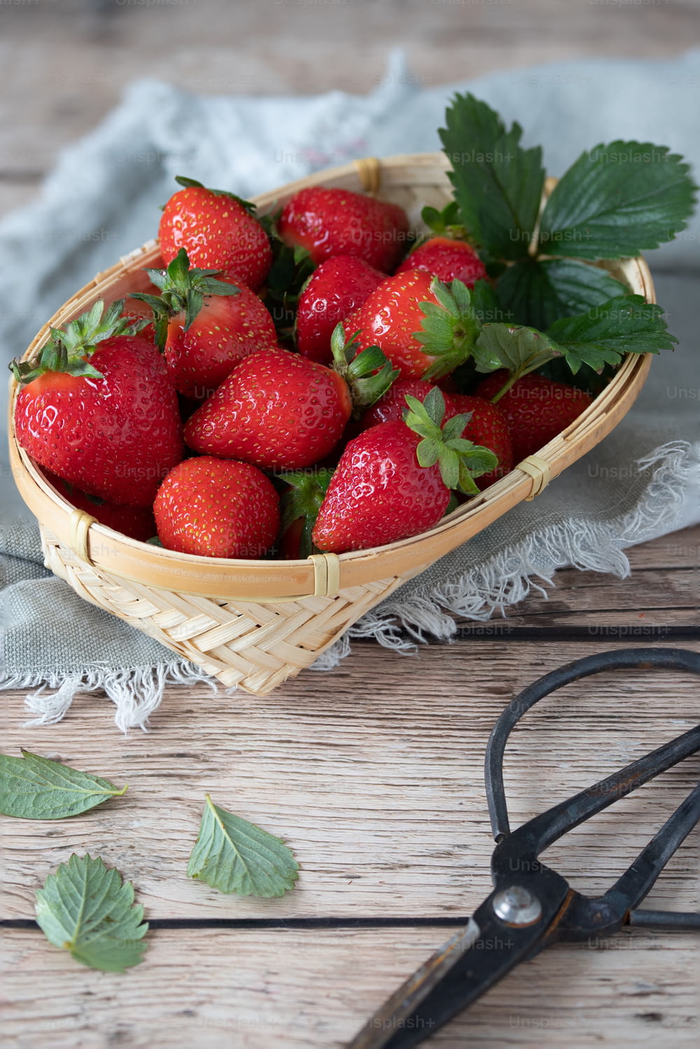 a basket of strawberries on a table with a pair of scissors