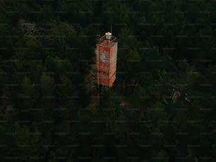 un'alta torre nel mezzo di una foresta